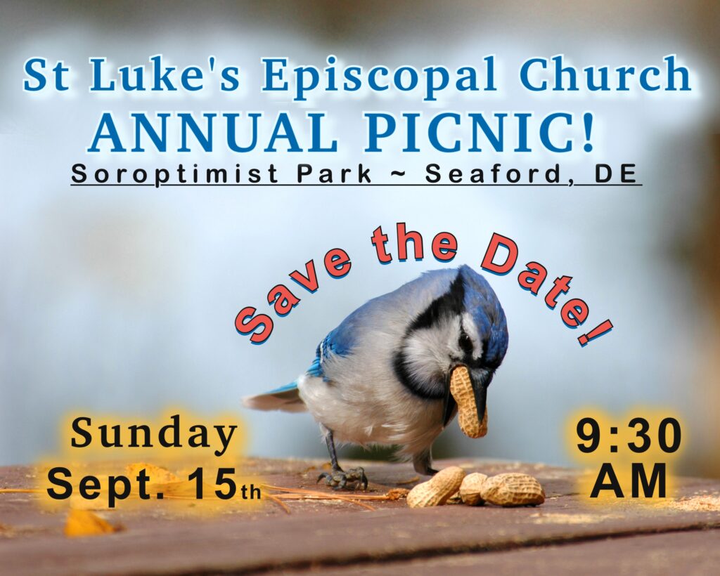 baby blue jay on a picnic table eating peanuts, St Luke's Annual Picnic in Soroptimist Par, Seaford, DE - Sept. 15th, 2024